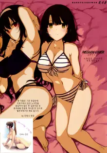 MEGUMI LOVER Saenai Kanojo To Erogezukuri (decensored), 한국어