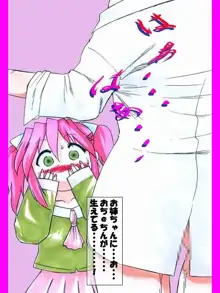 RTK BOOK 5 「ひみ☆すた～ゆい姉さんの秘密と不満～」, 日本語