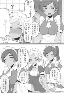 ライラさんはメイドさん, 日本語