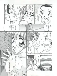 ニセモノ 3, 日本語