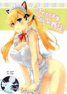 Uchi no Maid wa Elf no Hime-sama! | 우리집 메이드는 엘프의 공주님!, 한국어