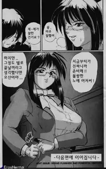 Secret Plot, 한국어