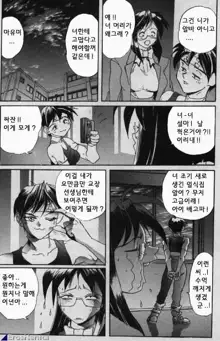 Secret Plot, 한국어