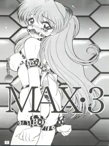 MAX VOL.3, 日本語