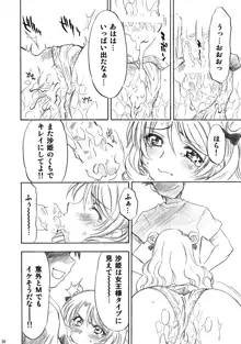 とらぶるっ娘～沙姫SP～, 日本語