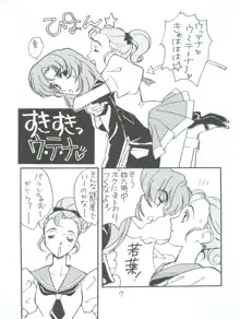 UTENA 華麗なる学生服, 日本語