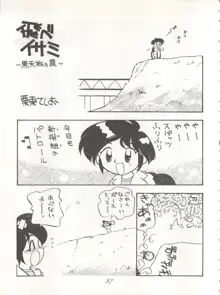 やるじゃん!, 日本語