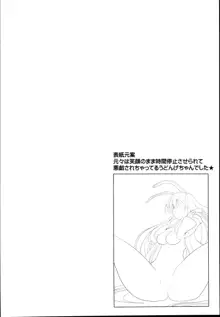 東方時姦総集編3, 日本語