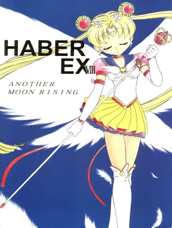 HABER EX VIII ANOTHER MOON RISING, 日本語