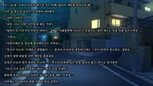 Kare to kanojo no 7-nenkan | 그와 그녀의 7년간 - 소중히 여겨온 사연있는 그녀를 중년남성에게 빼앗기다-, 한국어