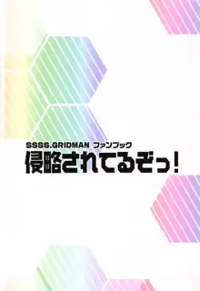 侵略されてるぞっ!, 日本語