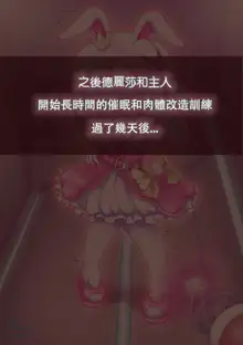 便器魔法少女德麗莎終極大改造 / The toilet magic girl Delisa is greatly transformed, 中文