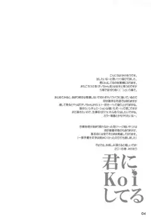 君にKoiしてる 総集編, 日本語