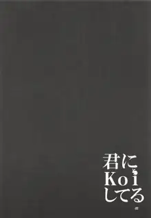 君にKoiしてる 総集編, 日本語