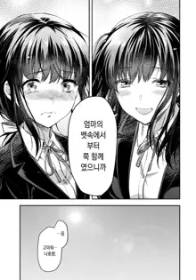 Futago Ane + C95 no Omake Hon Futago Ane Bangaihen | 쌍둥이 누나 + C95의 오마케 책 쌍둥이 누나 번외편, 한국어