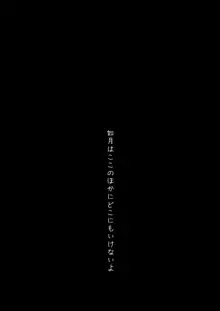 避妊失敗―かわいそうなきさらぎちゃん―, 日本語