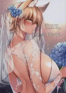 JUNE BRIDE マタニティフォトブック, 日本語