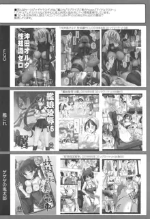 東方陵辱41 こいし, 日本語