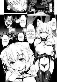 Momiji-chan to Goshujin-sama -Tanoshii Sanpo Hen- | 모미지 짱과 주인님 -즐거운 산책 편-, 한국어