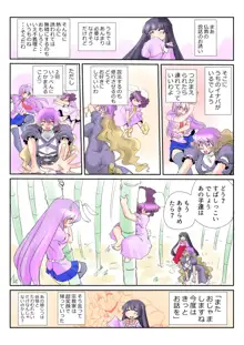 東方プラグマタイザー24, 日本語