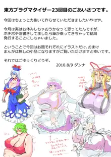 東方プラグマタイザー23, 日本語