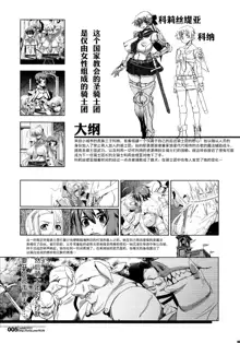 Slave Knight #202 ~Toraware no Seikishi~, 中文