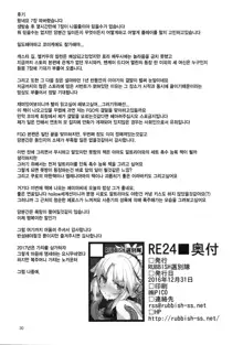 RE24, 한국어