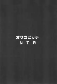 オサカビッチNTR, 日本語