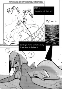 Samekkusu Guide | A Guide to Shark Sex, English