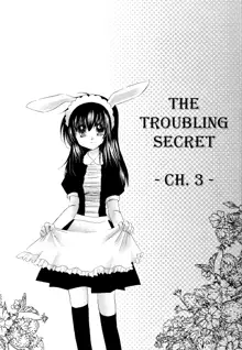 Tobikiri no Himitsu 3 <<Kanketsuhen>> | The troubling secret << Final chapter >>, English