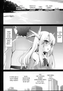 Okusuri Vacances de Illya to Ecchi Shiyo | 약물 바캉스에서  이리야랑 엣찌하자, 한국어