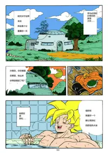 DRAGONBALL H Bessatsu Soushuuhen, 中文