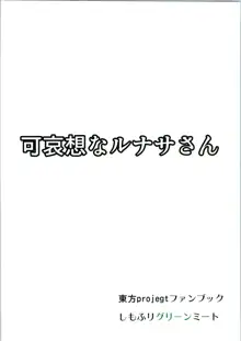 可哀想なルナサさん, 日本語