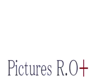 Pictures R.O+ vol.2, 日本語