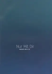 NurMitDir, 中文