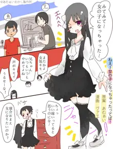 ねえ、女の子になっちゃったってば！, 日本語