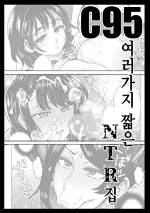 C95 Yorozu NTR Short Manga Shuu | C95 여러가지 짧은 NTR 집, 한국어