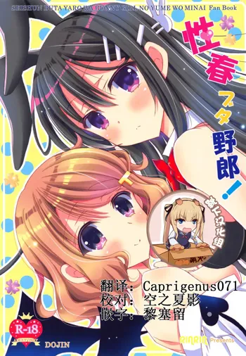 Seishun Buta Yarou!, 中文