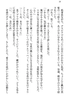 羽目鳥さんは撮られたい!～可愛い教え子は露出好き～, 日本語