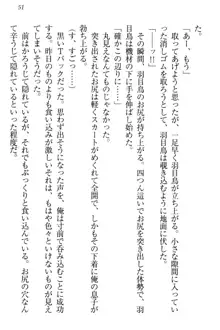 羽目鳥さんは撮られたい!～可愛い教え子は露出好き～, 日本語