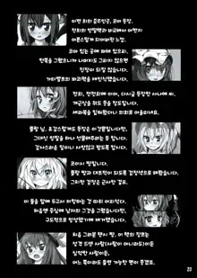 Touhou Kutsushita Bon 2 | 동방양말책2, 한국어