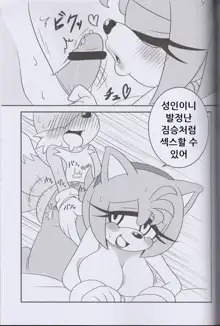 Kemono no Kanzume 3, 한국어