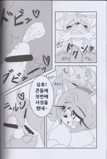 Kemono no Kanzume 3, 한국어