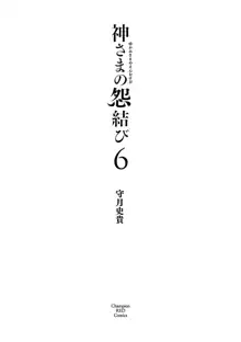 Kamisama no urami bi 6, 中文