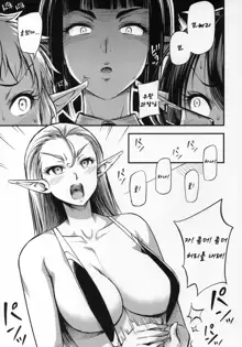 Sennin no Succubus o Oyobi Kudasai, 한국어