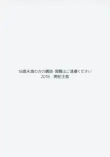 新人提督特別処理担当艦教導係 鹿島さん, 日本語