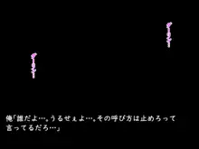 脱衣☆GAME～とどのつまり、ツンデレ乙～, 日本語