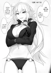 Chaldea Suikan Kiroku 1 Jeanne Alter Hen | 칼데아 면간기록 1 쟌느 얼터 편, 한국어