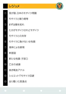 モザイク研究発表, 日本語