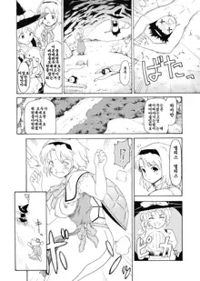 Touhou Ukiyo Emaki Shameimaru Aya | 동방부세회권 샤메이마루 아야, 한국어